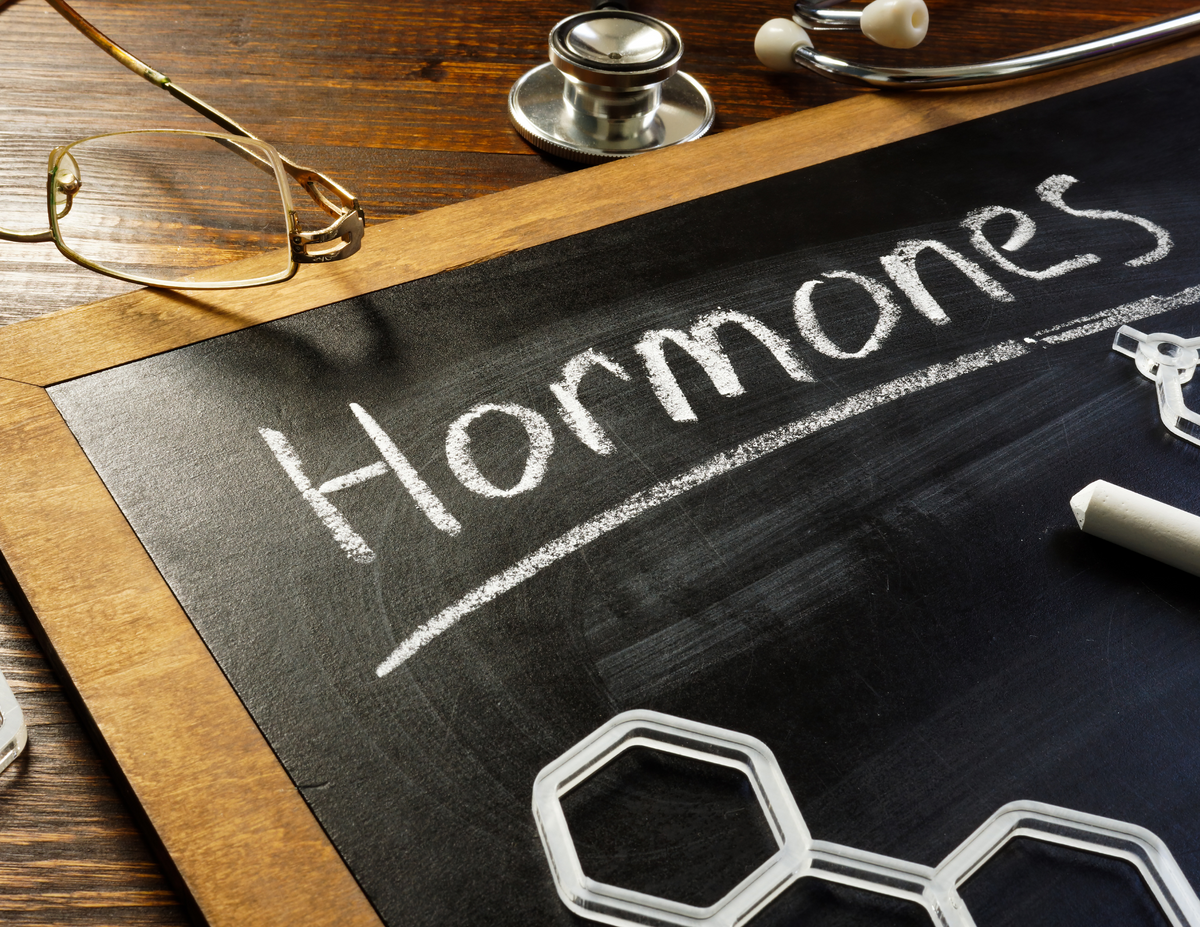 Chalk board with hormones written on it