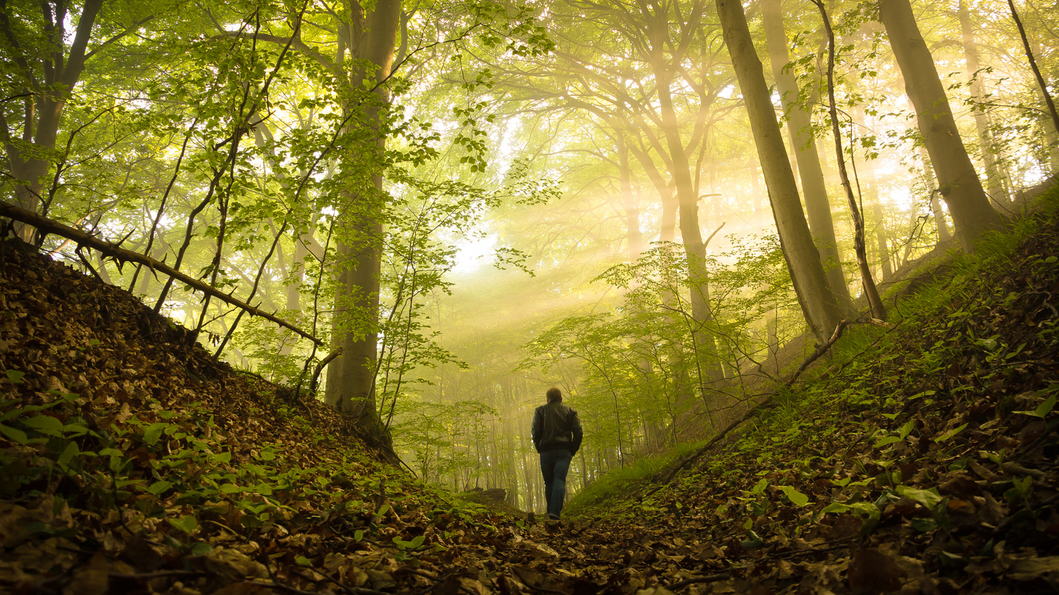 Man in deep forest