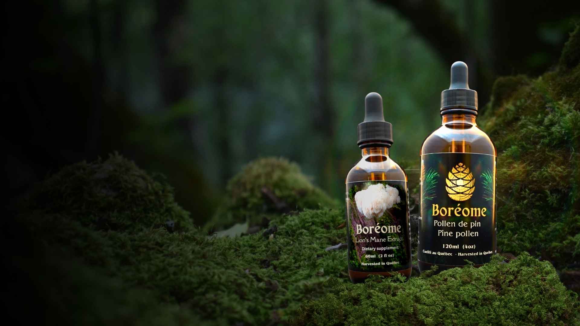 Pine pollen extract sitting on moss hero image