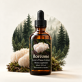 Lion's Mane Extract 60ml