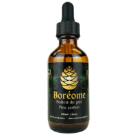 Pine pollen tincture