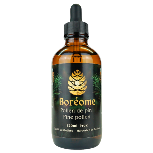 Pine pollen tincture